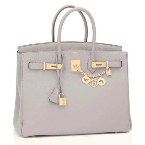 hermes evelyne gris perle|hermes birkin 35cm.